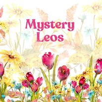 Short & Long Sleeved Mystery Leos