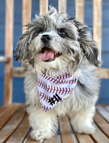 Reversibile Doggie Bandanna