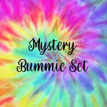 Load image into Gallery viewer, Mystery Bummie &amp; Bow Set