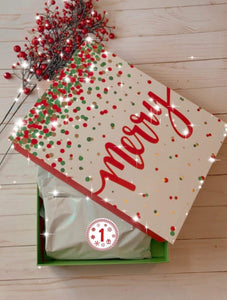 12 Days of Christmas Box BB Nylons & Clip