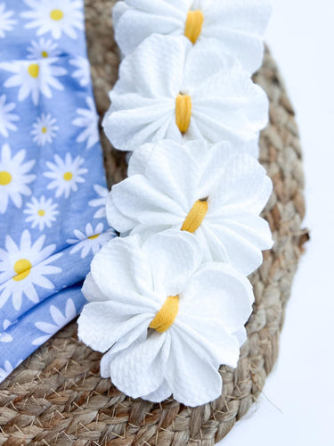 Daisy Bows